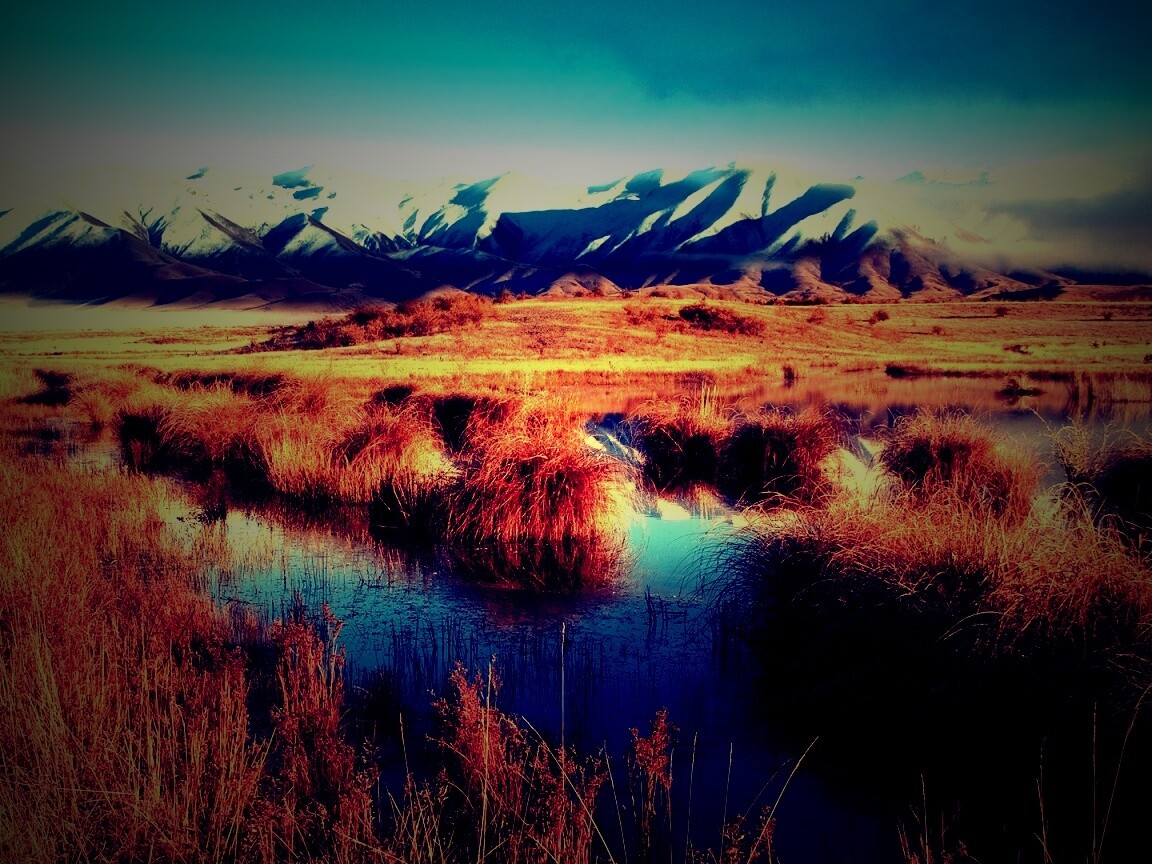 Болото и снежные горы обои