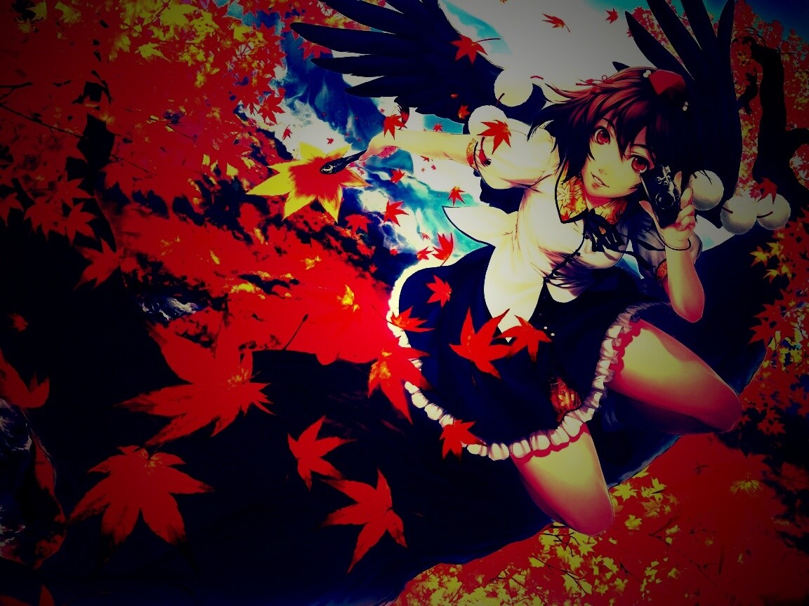 Девушка с фотоаппаратом обои