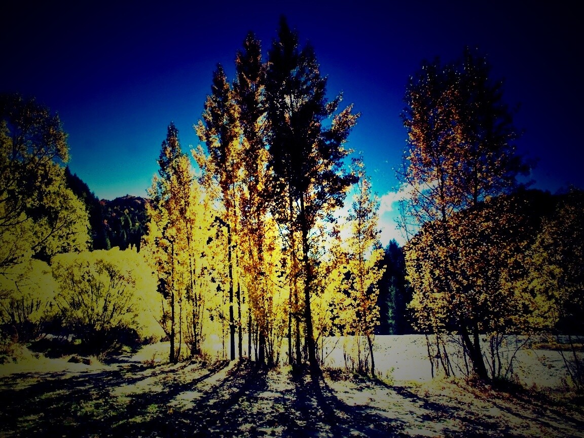 Осень в Новой Зеландии обои