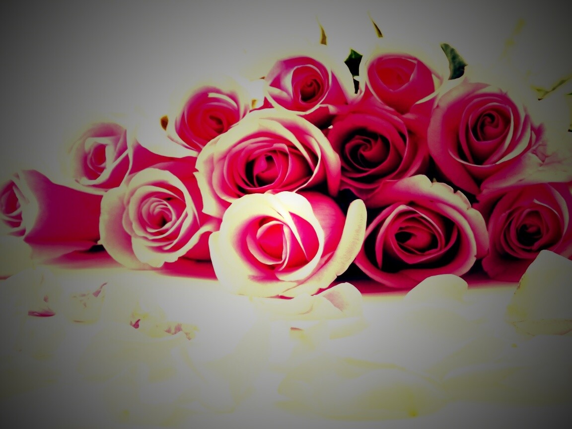 Букет роз обои
