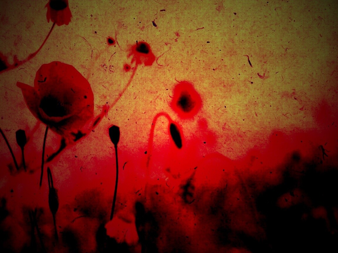 Кровавые цветы в стиле ретро обои