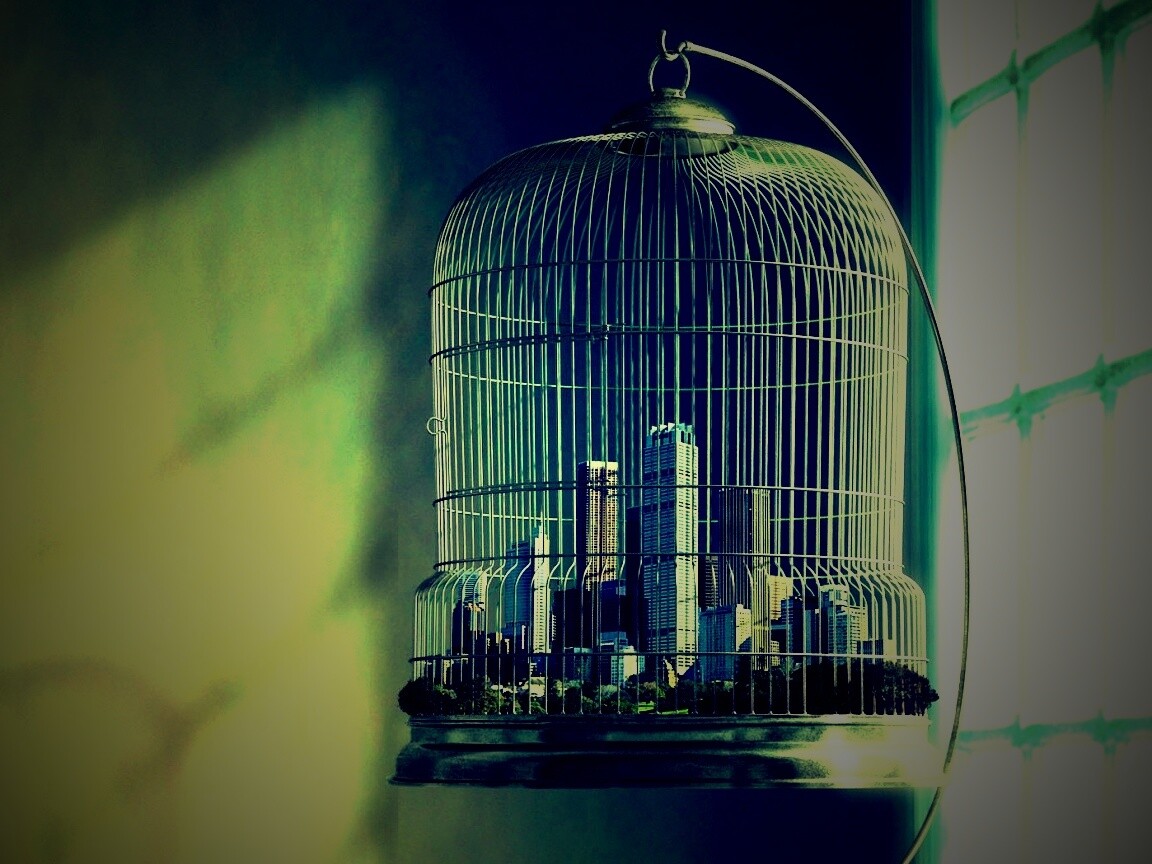 Город в клетке обои