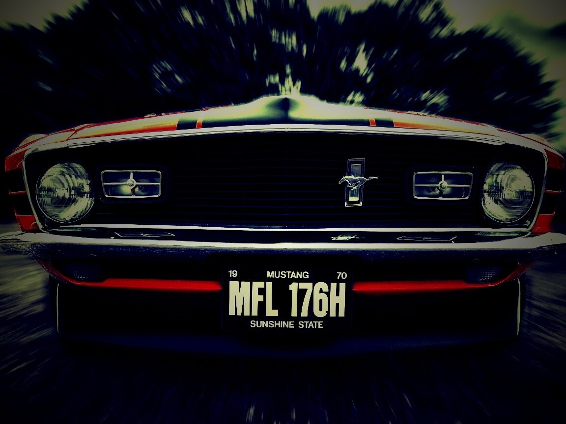 Мустанг обои