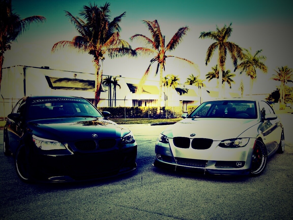 Две БМВ обои