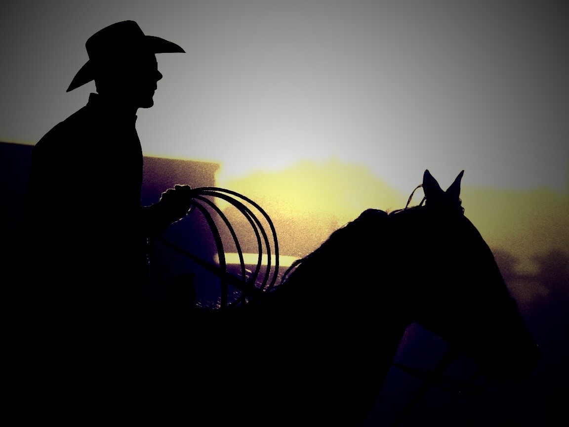 Ковбой с лассо на коне обои