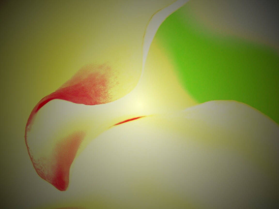 Оттенки природы обои