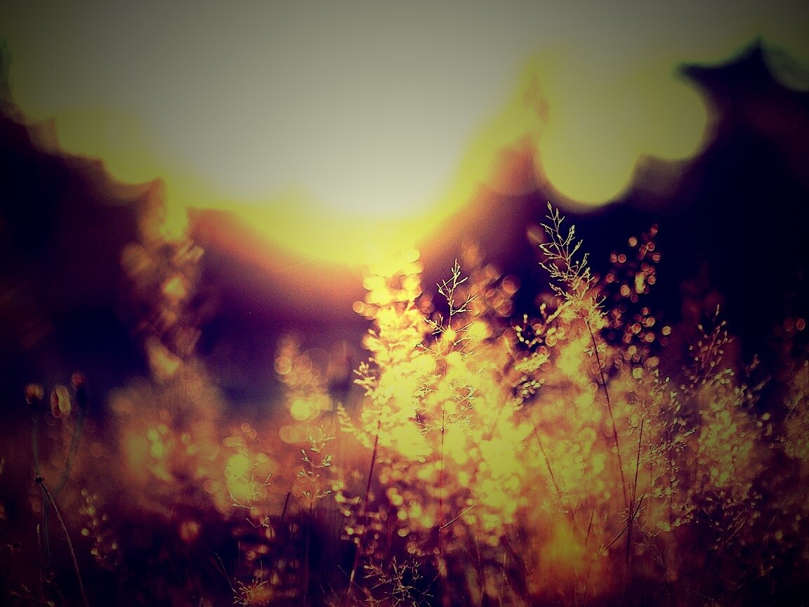 Посмотри на этот мир обои