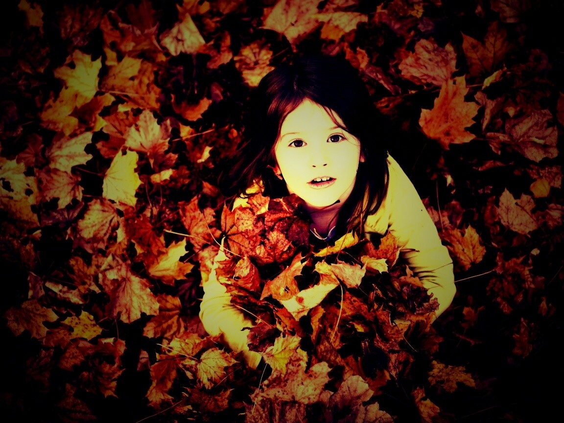 Девочка и осень обои