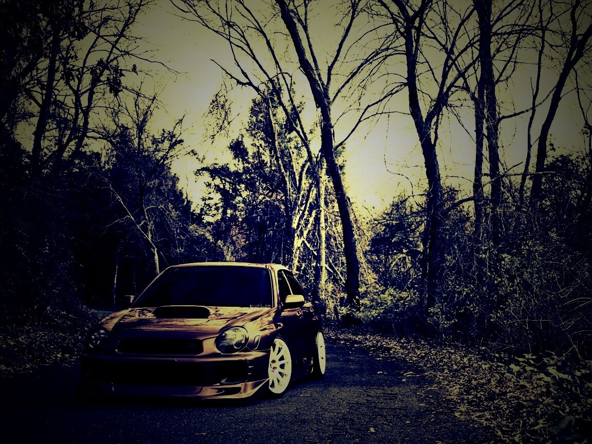 Субару Импреза на лесной дороге обои