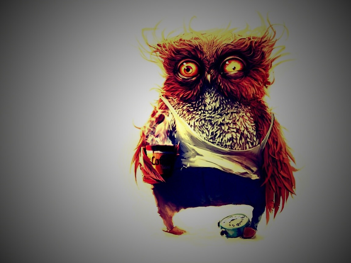 Не спящая сова обои