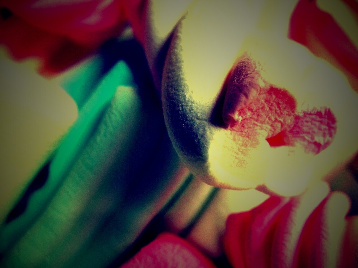 Кручёный зефир обои