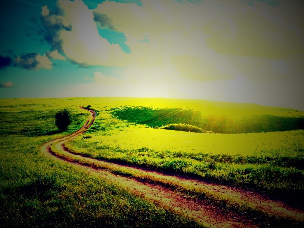 Дорога через луг обои