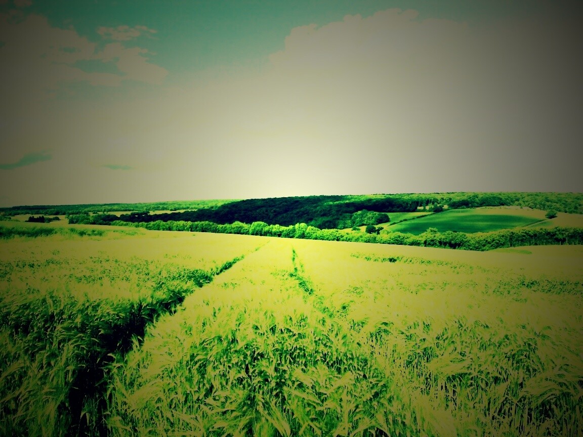 Бескрайние просторы обои