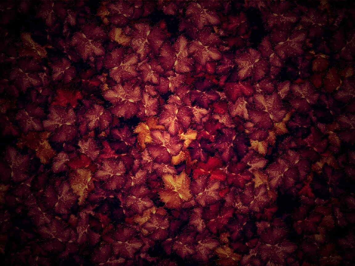 Осенние листья обои