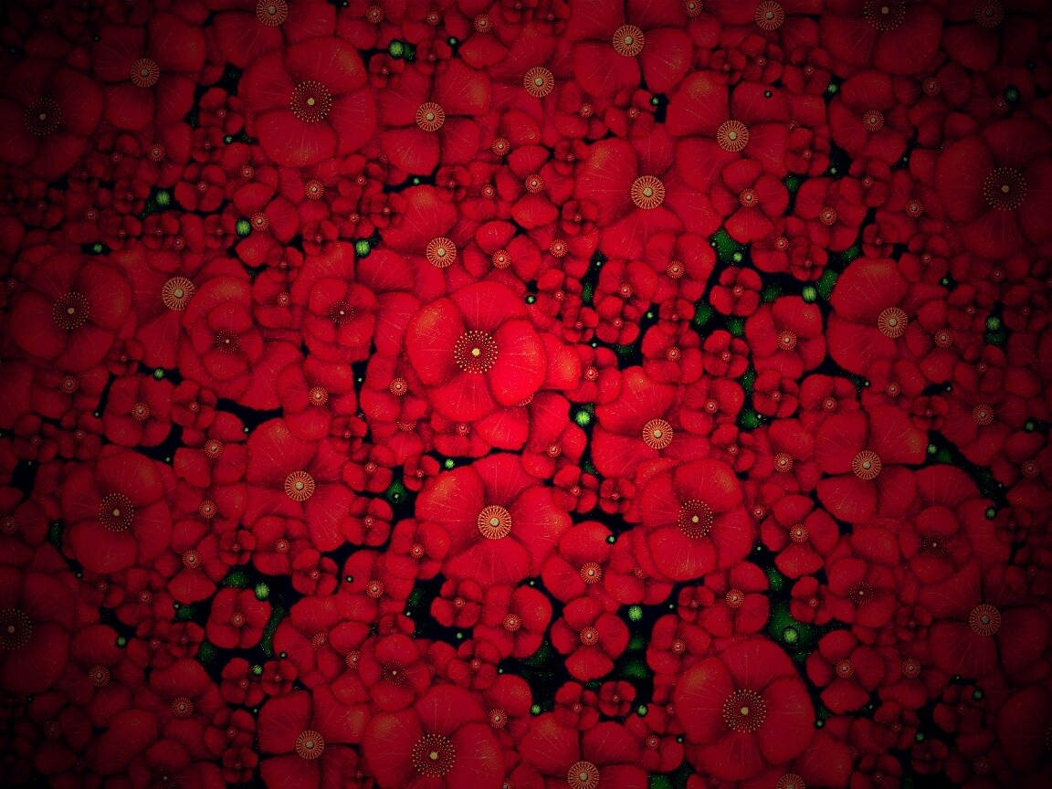 Рисунко с красными цветами обои