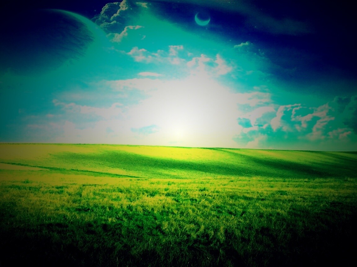 Луг на другой планете обои