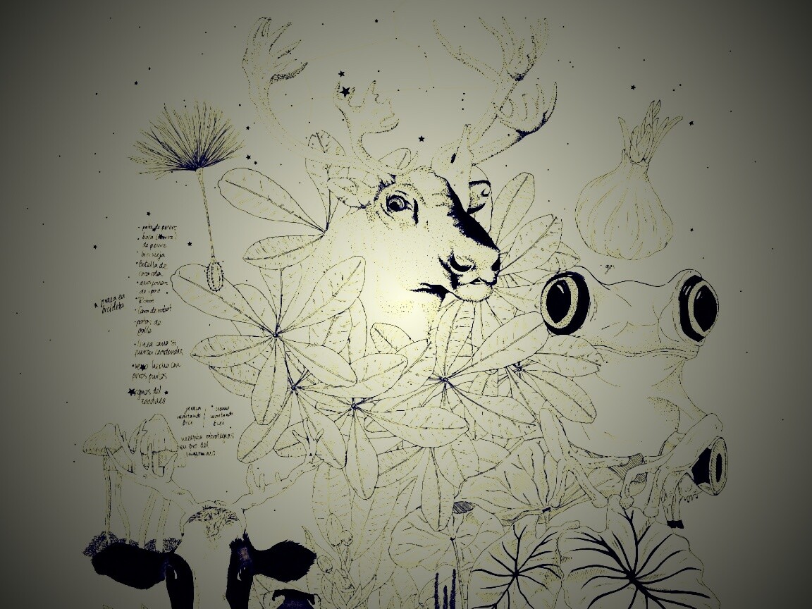 Животные на рабочий стол Apple обои