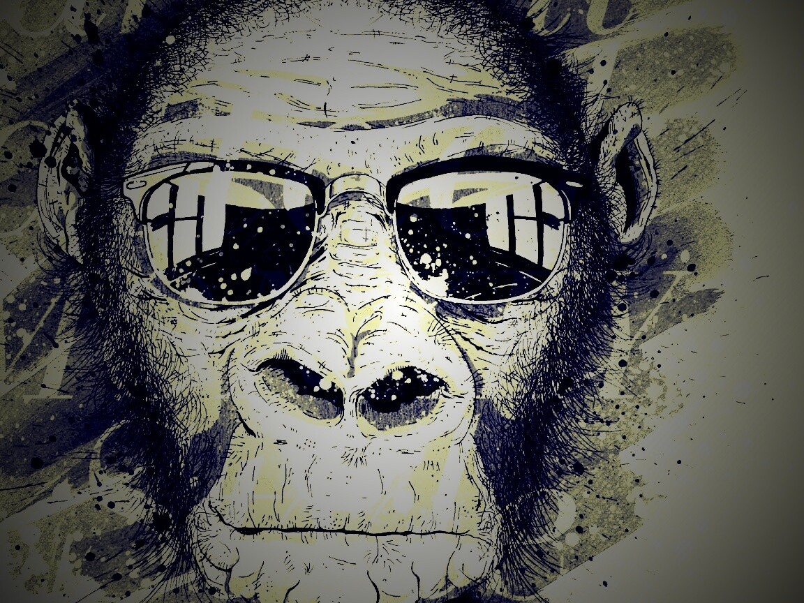 Макака в очках обои