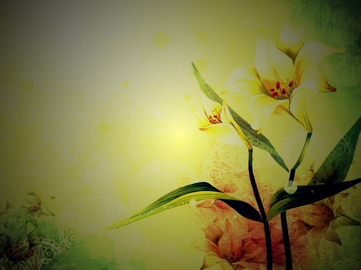Красивое изображение лилии обои