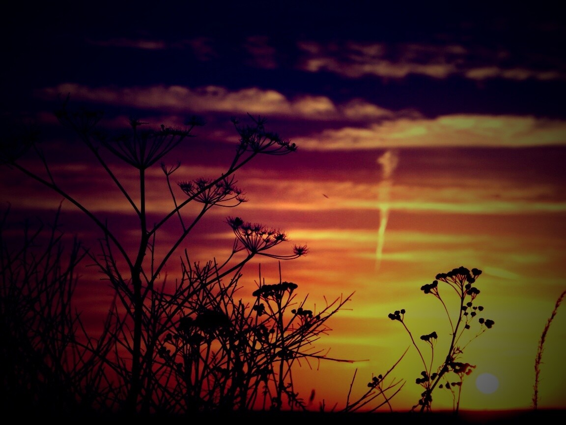 Степной закат обои