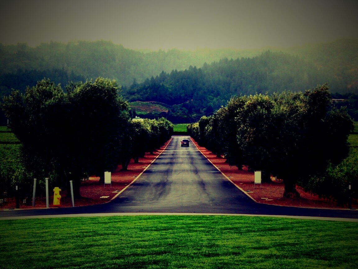 Сельский пейзаж обои