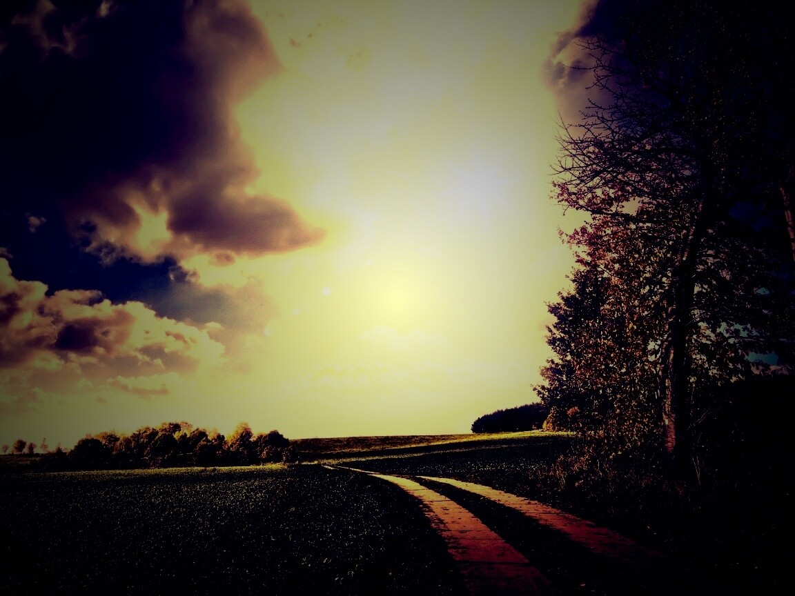 Солнечные холмы обои