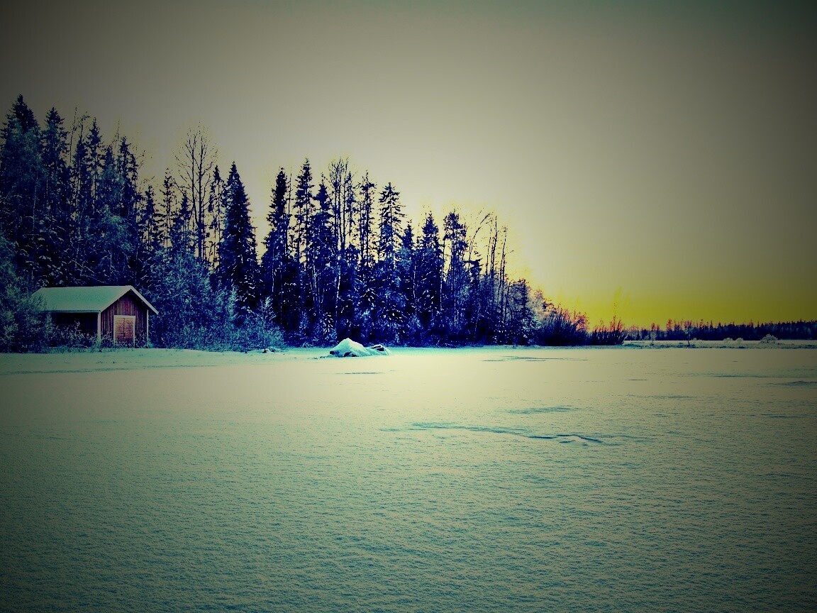 Зимний закат обои