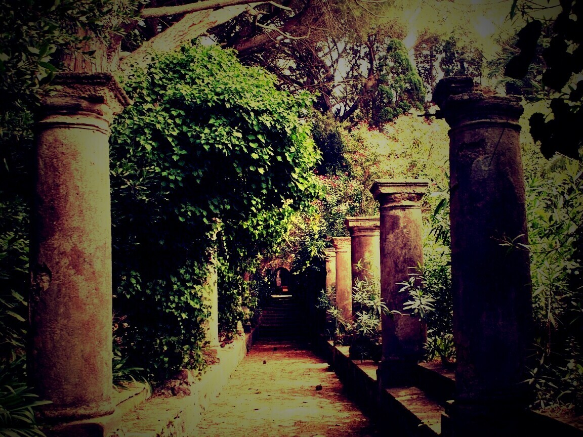 Галерея зимнего сада обои