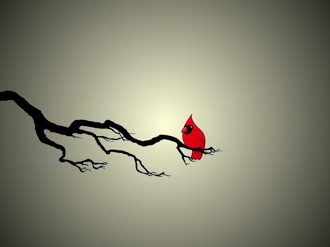 Красная птица на ветке обои