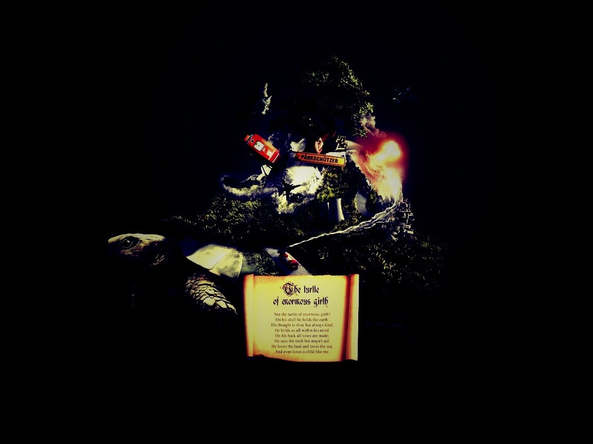 Огромная в обхвате черепаха обои