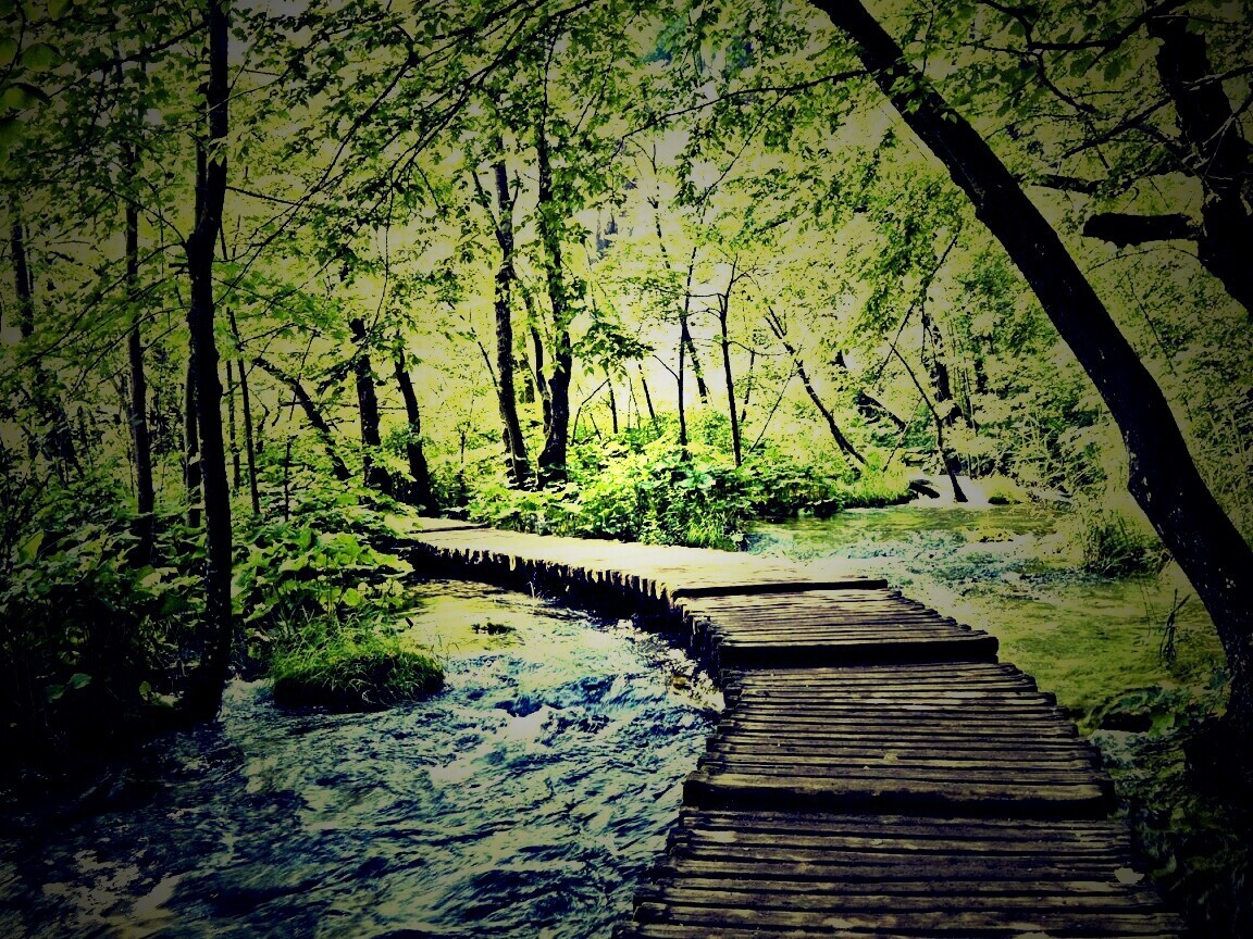 Тропинка над водой обои