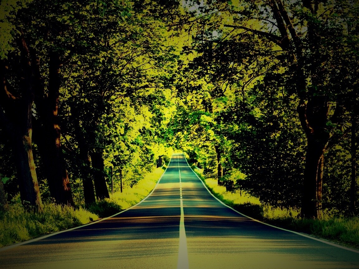 Под горку и в лес обои