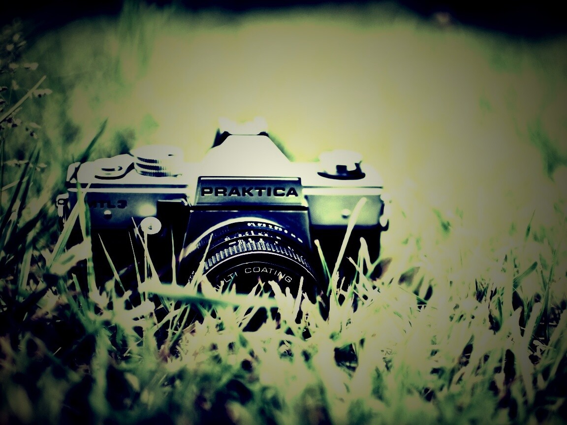 Фотоаппарат Praktica в траве обои