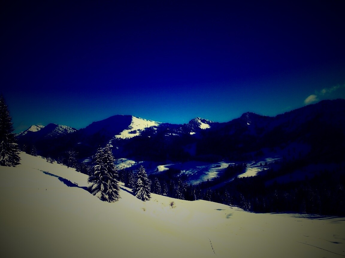 Лес в горах обои