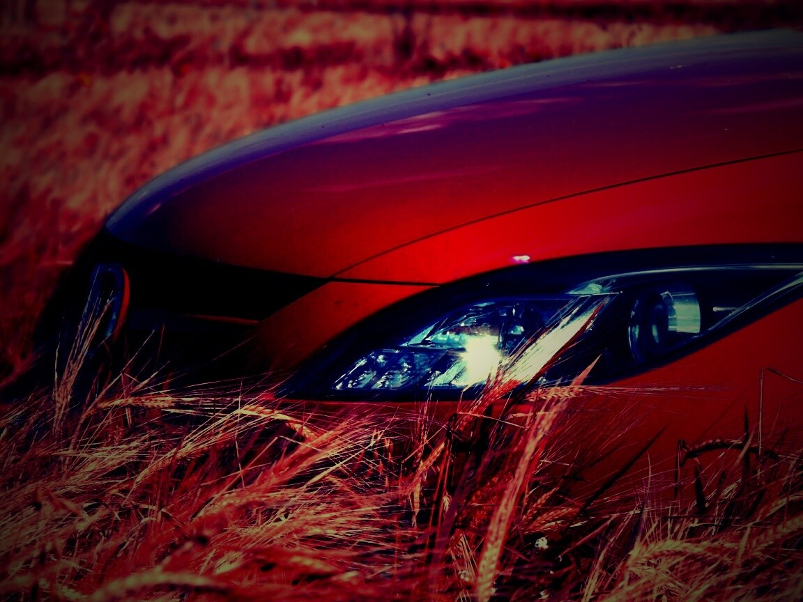 Мазда в пшенице обои