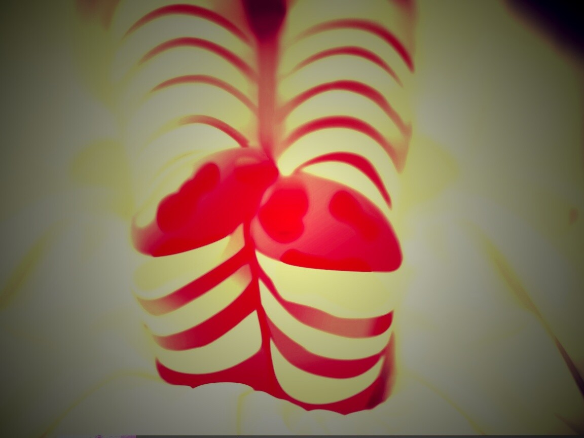 Ножки в полосатых чулках обои