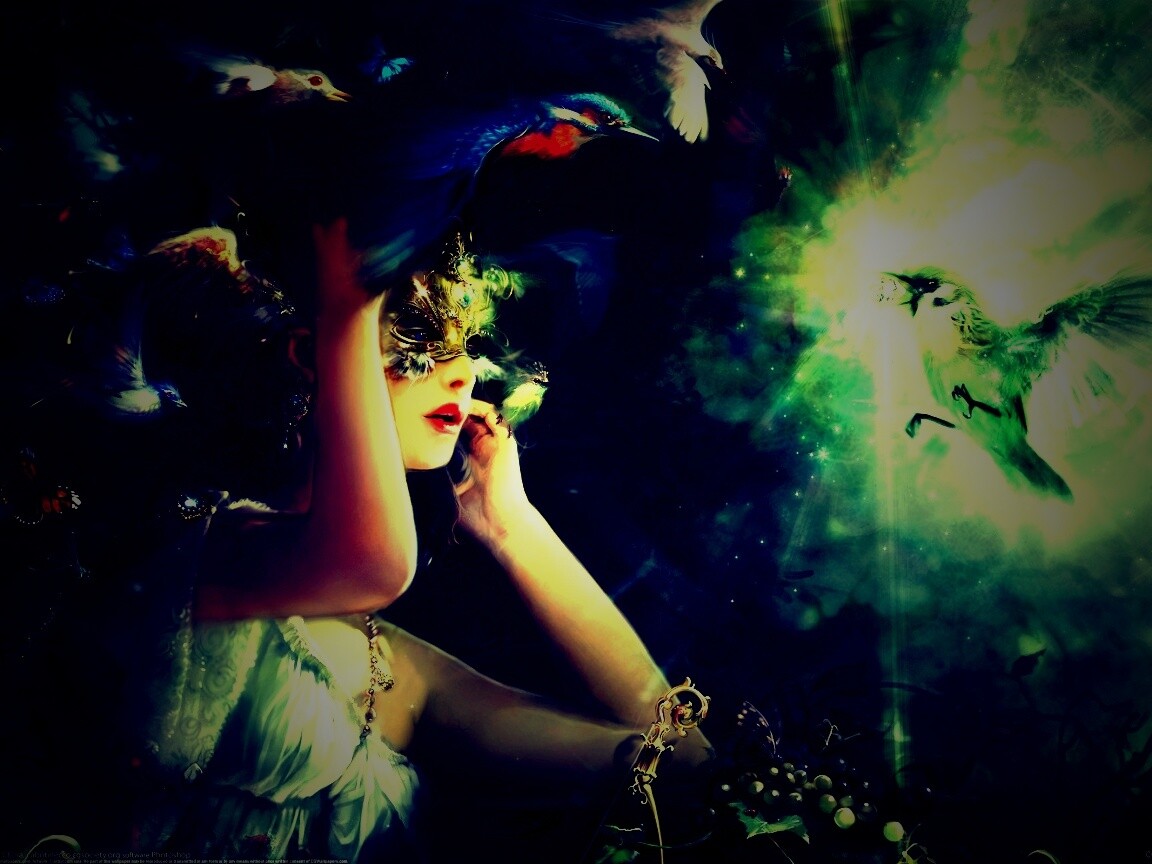 Птицы счастья обои