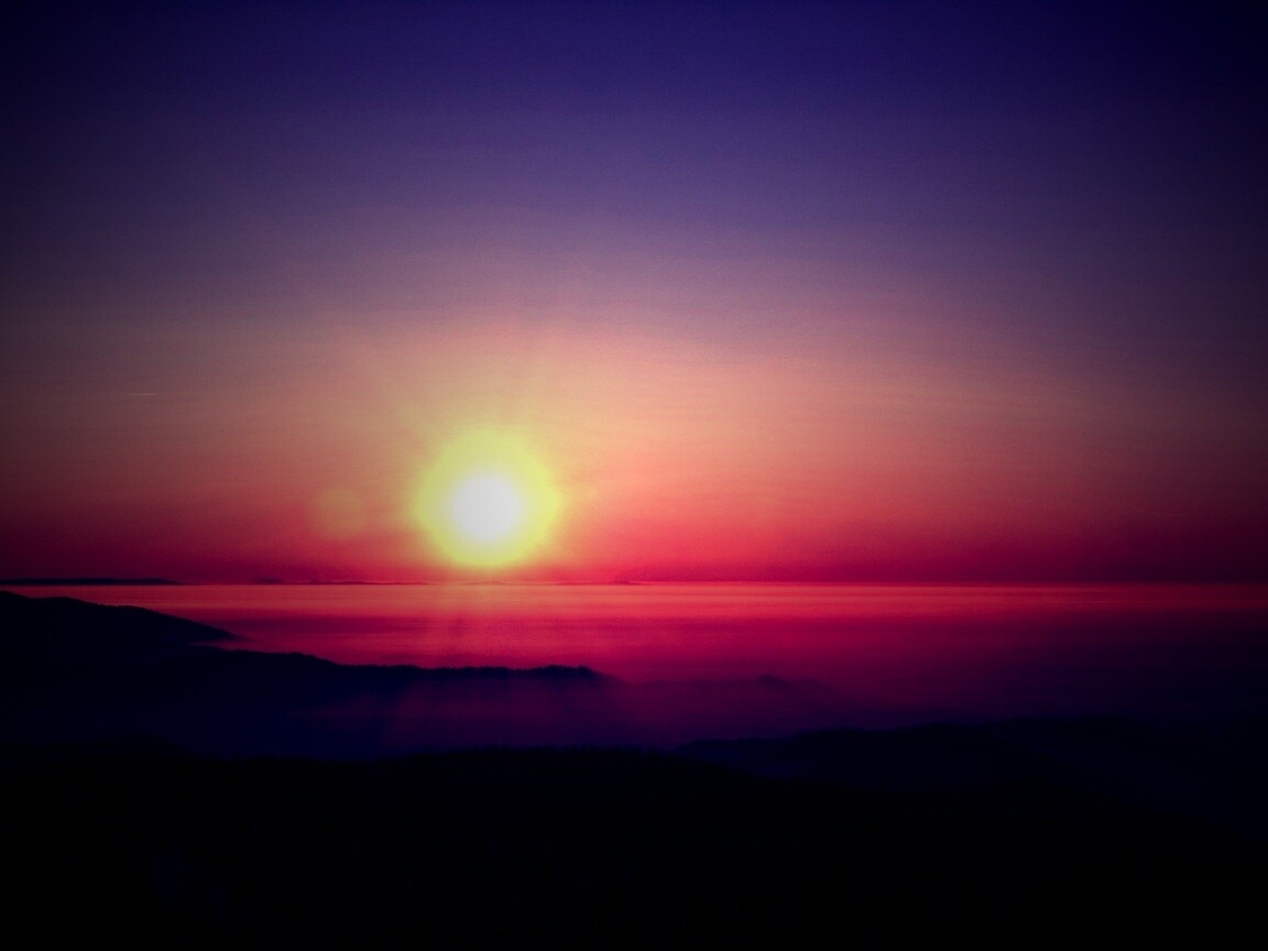 Восход солнца над лесом обои