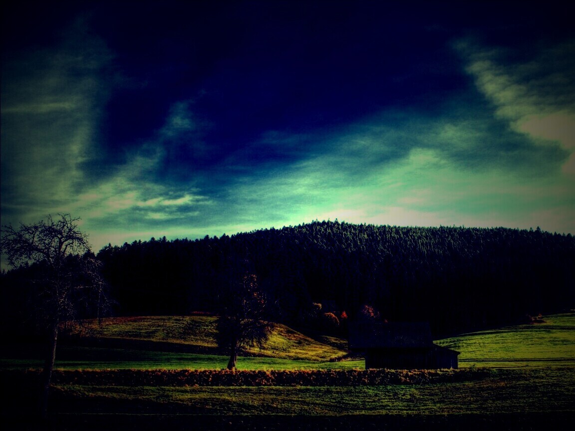 Домик в поле обои