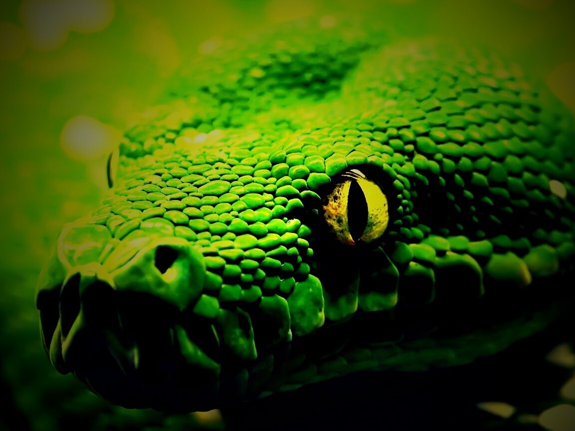 Страшно красивая обои