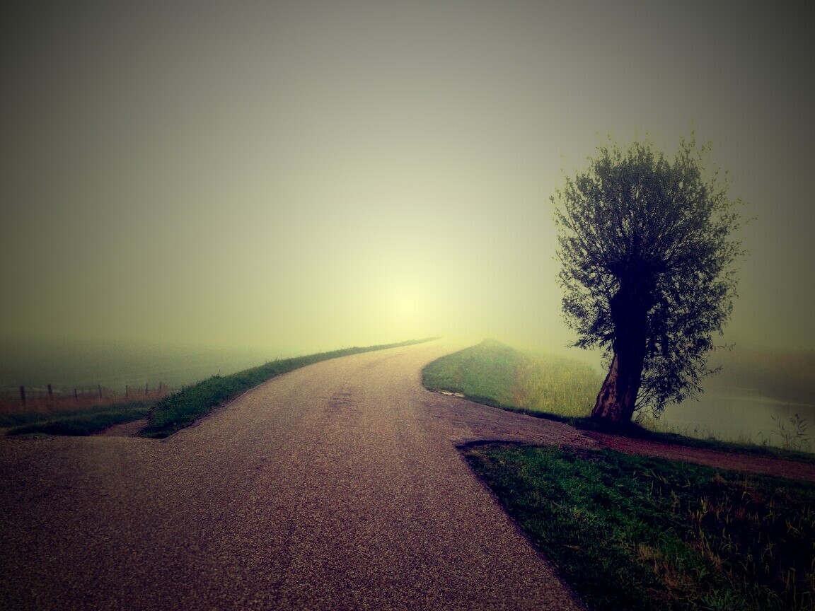 Дорога растворяется в тумане обои