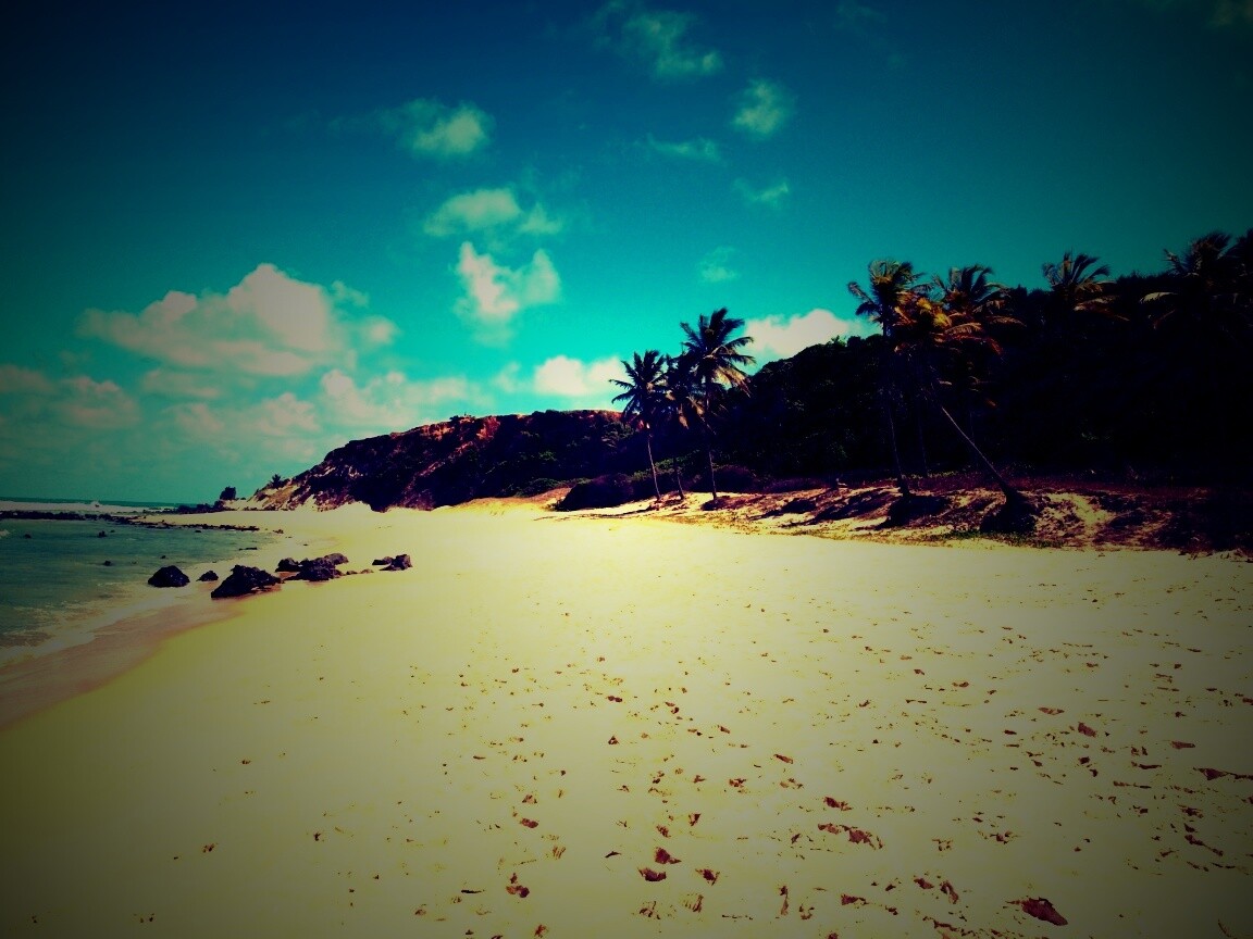 Туры в Бразилию в Лондрину обои