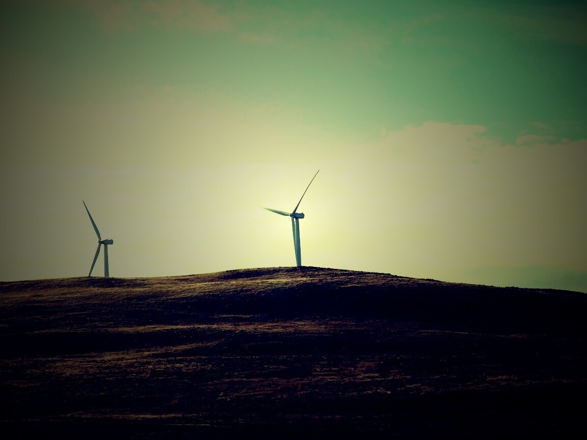 Ветряки в поле обои