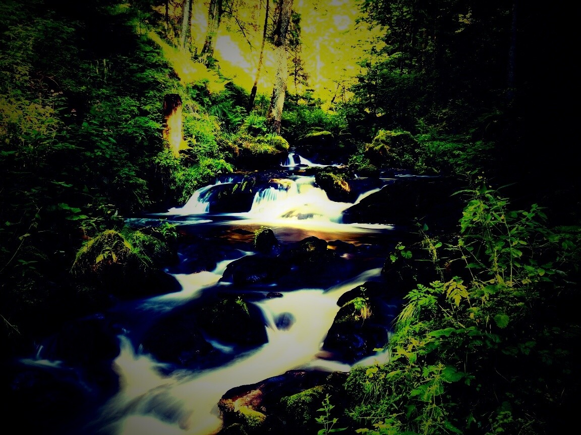 Живописный лесной водопад обои