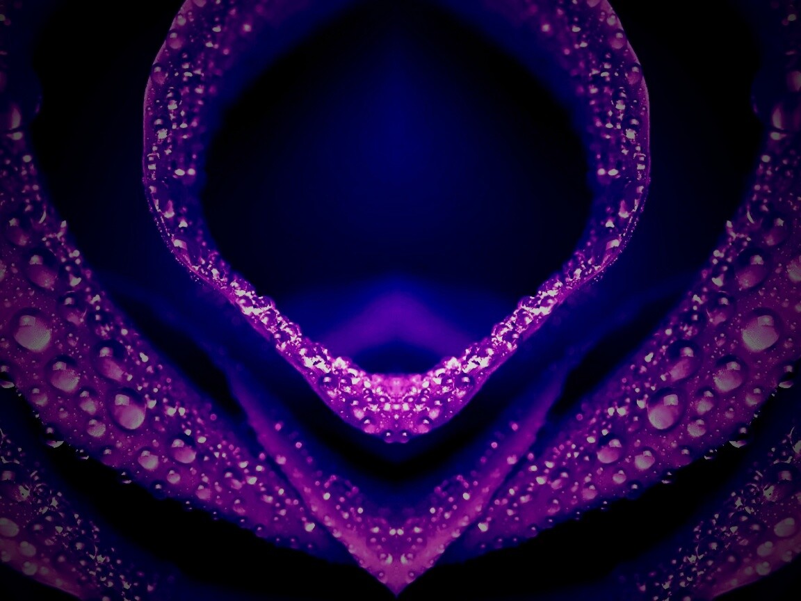 Цветочный зев обои