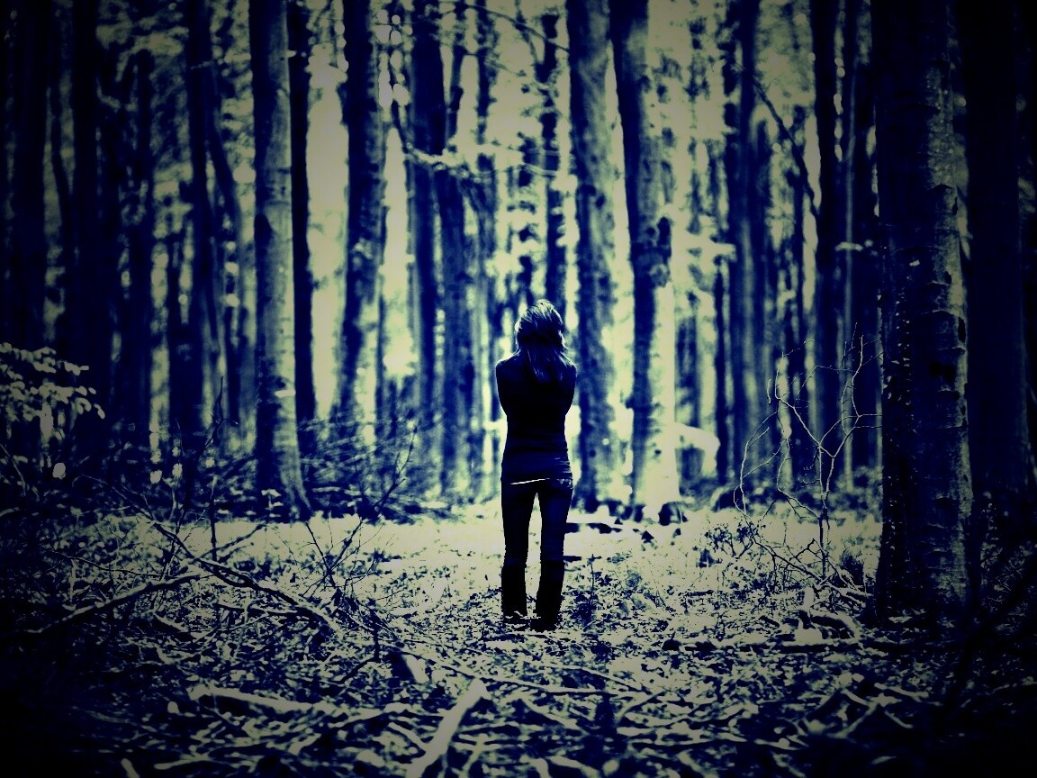 Одна в лесу обои
