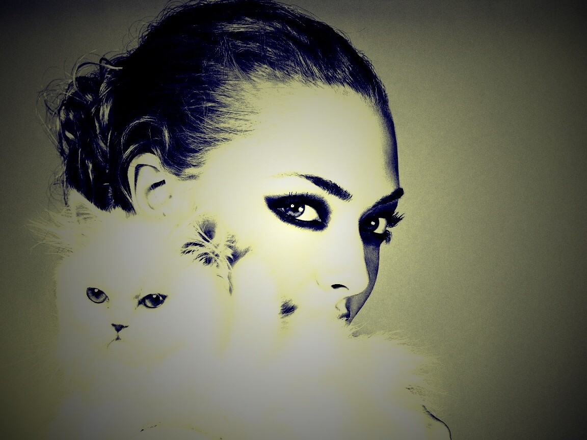 Девушка с кошкой обои