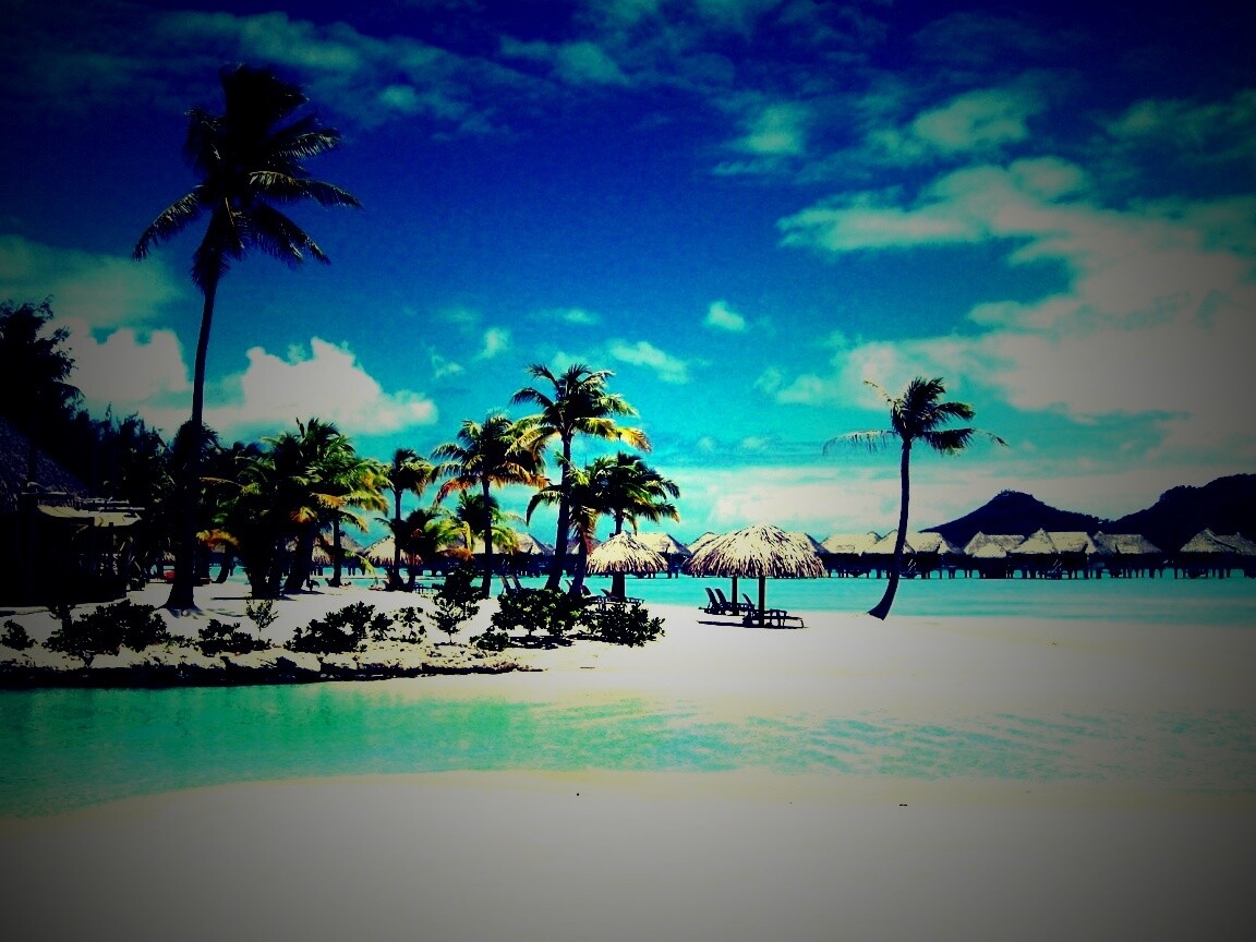 Побережье Бора-бора обои