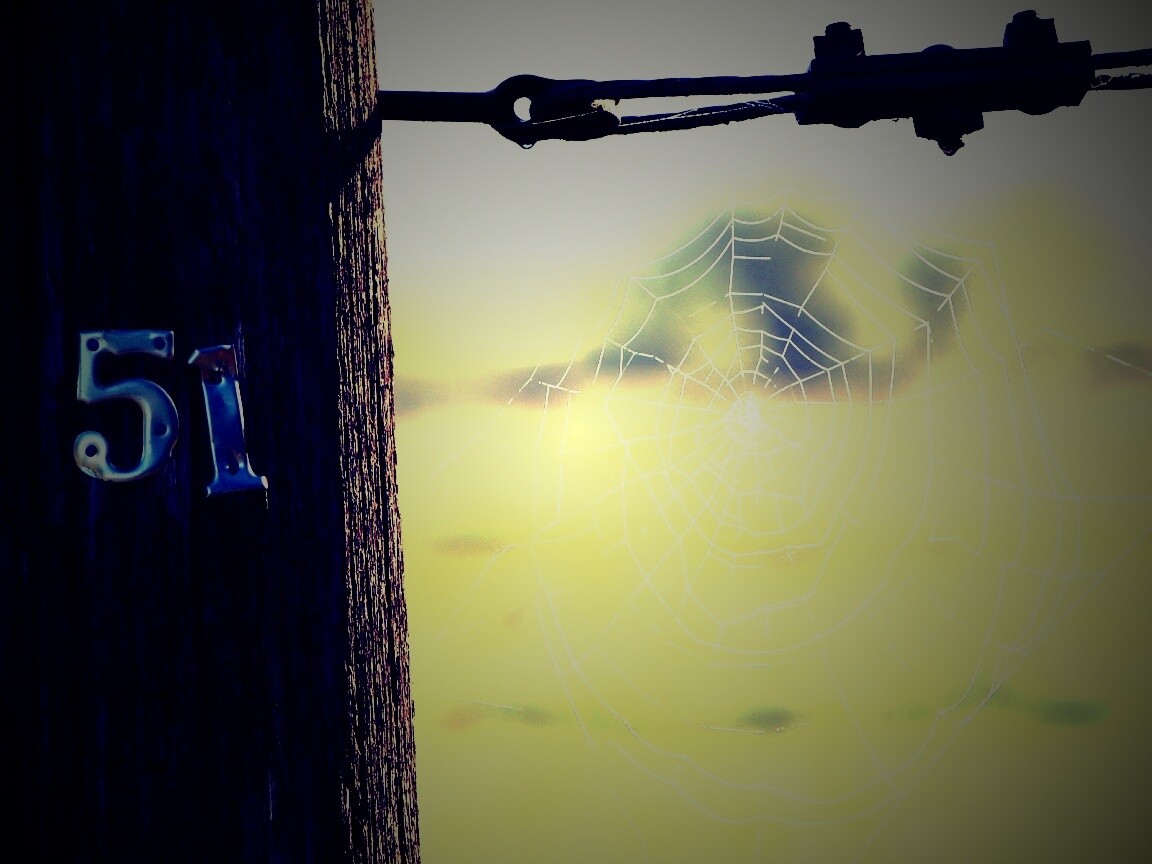 Паутина 51 обои