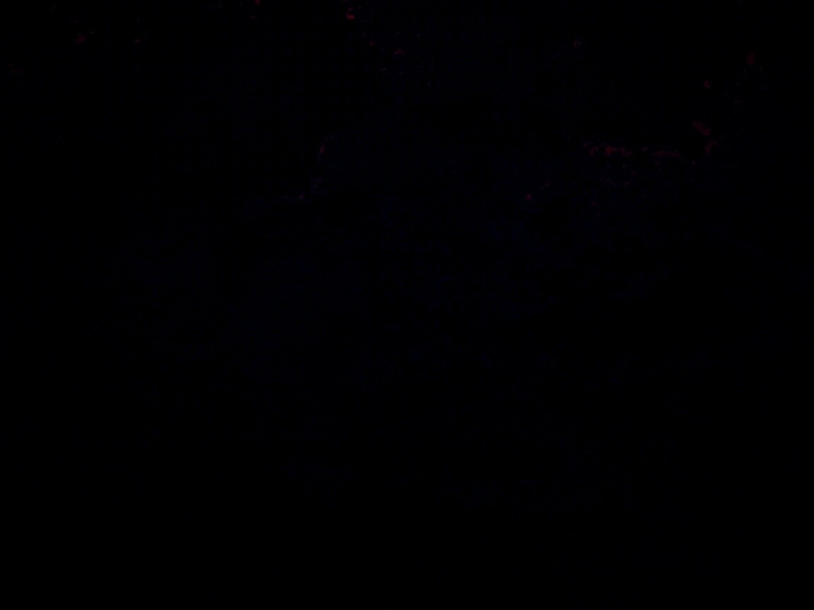 Кровяной фон обои